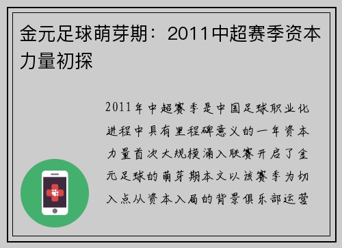 金元足球萌芽期：2011中超赛季资本力量初探