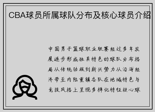 CBA球员所属球队分布及核心球员介绍